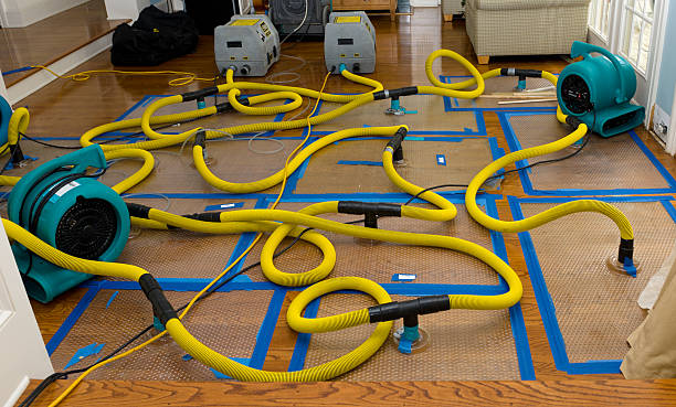 Professional Crawl Space Water Removal technician working in Center Line, MI